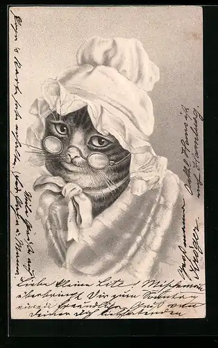 Präge-Lithographie Katze im Grossmutter-Kostüm, vermenschlichte Tiere