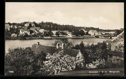 AK Crossen a. Oder, Teilansicht, Bergseite