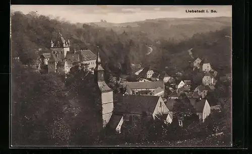 AK Liebstadt i. Sa., Teilansicht mit Wald