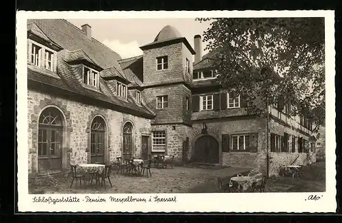 AK Mespelbrunn in Spessart, Schlossgaststätte-Pension, Terrasse