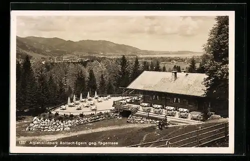 AK Rottach-Egern, Ansicht Alpenwildpark geg. Tegernsee