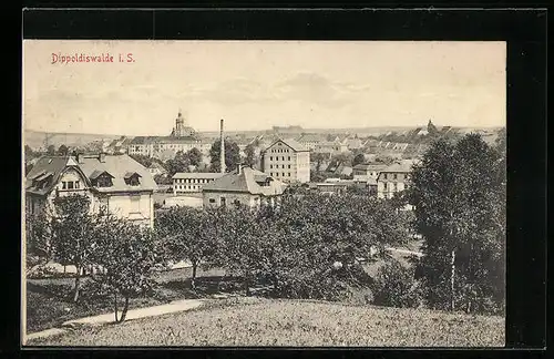 AK Dippoldiswalde i. S., Ortsansicht mit Umgebung
