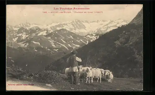 AK Aulus-les-Bians, Les Pyrénées Ariégeoises, Plateau de Lers