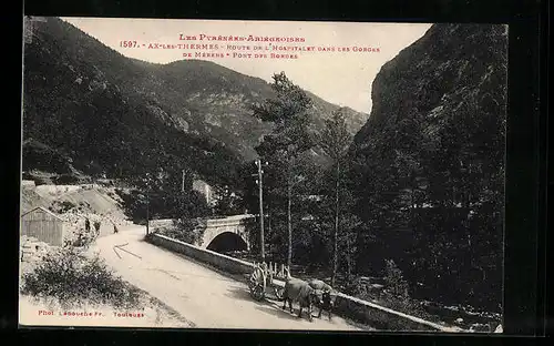 AK Ax-les-Thermes, Les Pyrénées Ariégeoises, Route de l`Hospitalet dans les Gorges de Mérens, Pont des Bordes
