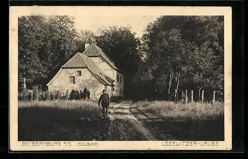 AK Bernburg a. S., Lösewitzer-Laube mit Wald