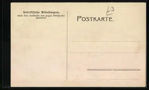 Lithographie Bingen a./Rhein, Hotel Victoria, National-Denkmal, Rheinstein