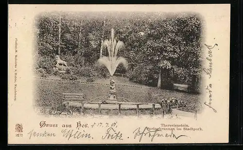 AK Hof, Theresienstein, Springbrunnen im Stadtpark