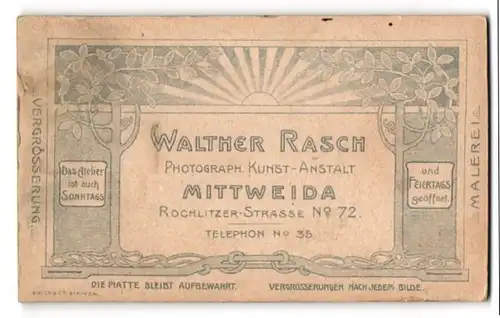 Fotografie Wlather Rasch, Mittweida, Rochlitzer Str. 72, aufgehende Sonne mit Bäumen als Rahmen