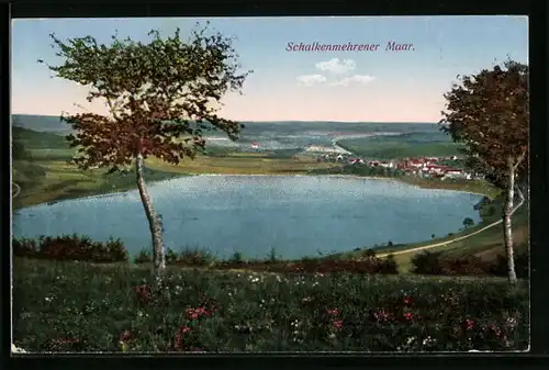 AK Schalkenmehrener Maar /Eifel, Wunderschöne Natur um den See