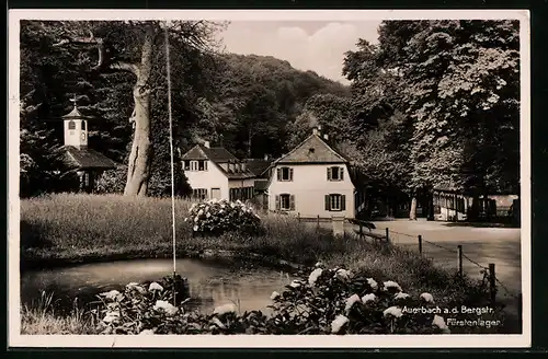 AK Auerbach a. d. Bergstr., Springbrunnen im Fürstenlager