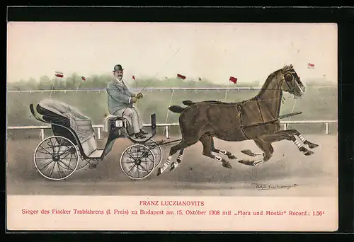 AK Franz Luczianovits, Sieger des Fiacker Trabfahrens I. Preis zu Budapest am 15. Okt. 1908 mit Flora und Mostar