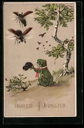 Präge-AK Laubfrosch grüsst fliegende Maikäfer, Pfingstgruss