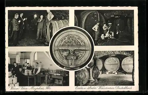 AK Mayschoss /Ahr, Winzer-Verein, Erster und ältester Winzerverein Deutschlands