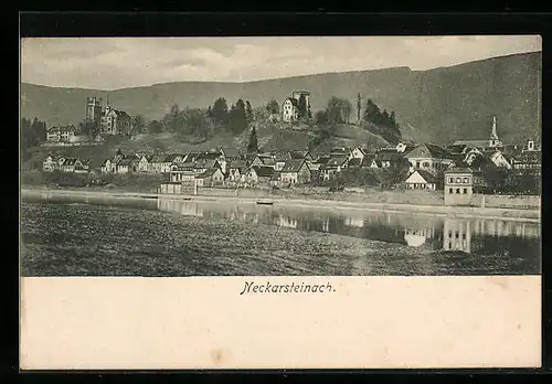 AK Neckarsteinach, Panorama mit Flusspartie