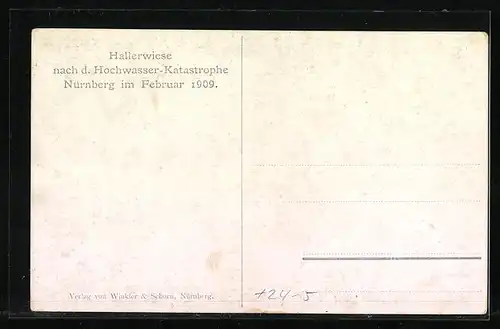 AK Nürnberg, Die Hallerwiese nach d. Hochwasser-Katastrophe im Februar 1909