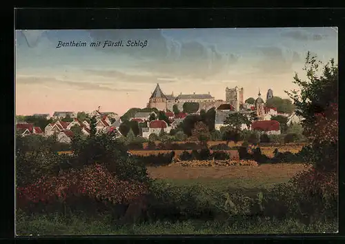AK Bad Bentheim, Teilansicht mit Fürstlichem Schloss