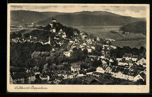 AK Pappenheim, Teilansicht