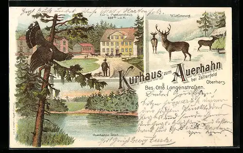 Lithographie Hahnenklee, Kurhaus Auerhahn, Wildfütterung, Auerhahn-Teich