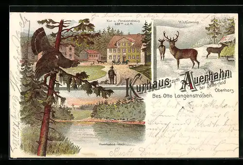 Lithographie Zellerfeld, Kurhaus Auerhahn, Wildfütterung