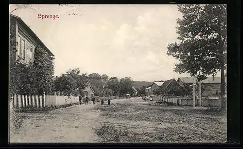 AK Sprenge, Strassenpartie mit Eiche