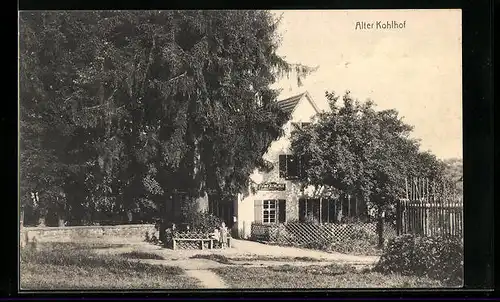 AK Heidelberg, Gasthaus Alter Kohlhof mit Zugangsweg