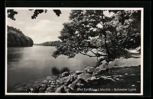 AK Bad Feldberg i. Mecklb., Schmaler Luzin