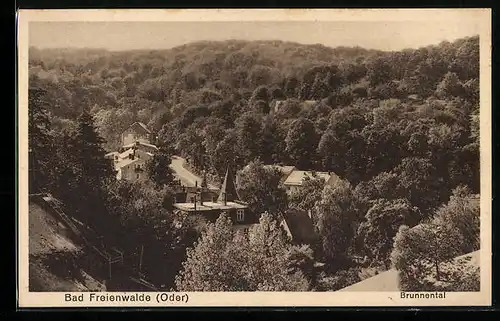 AK Bad Freienwalde /Oder, Blick auf das Brunnental