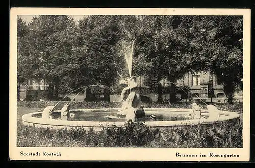 AK Rostock, Brunnen im Rosengarten