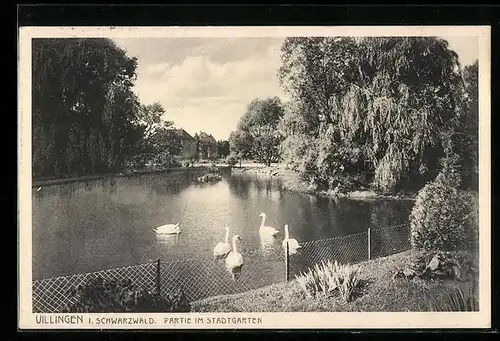AK Villingen i. Schwarzwald, Partie im Stadtgarten