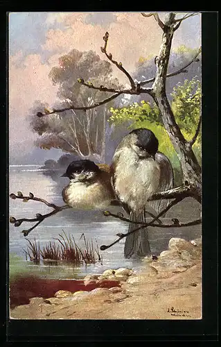 Künstler-AK Alfred Schönian: Vögel auf einem Ast