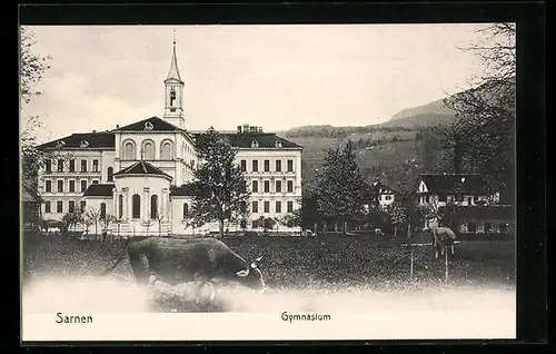 AK Sarnen, Gymnasium mit weidenden Kühen