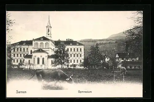 AK Sarnen, Gymnasium mit weidenden Kühen