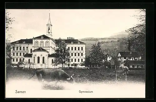 AK Sarnen, Gymnasium mit weidenden Kühen