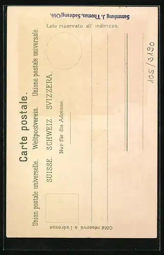 Lithographie Interlaken, Ortsansicht aus der Vogelschau