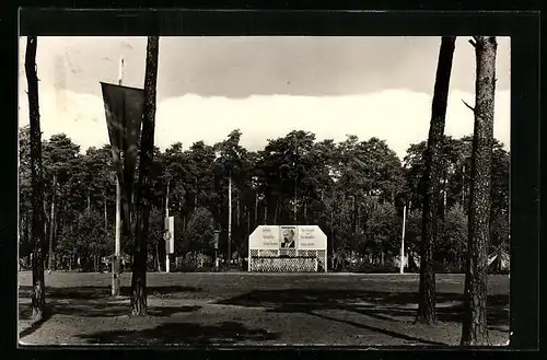 AK Frauensee in Thür., Pionierlager M. I. Kalinin am Frauensee, Appellplatz