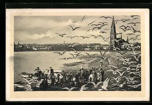 AK Schleswig, Sammeln der Möveneier auf der Möveninsel