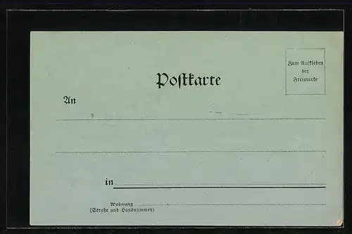 Mondschein-AK Schandau, Totalansicht aus der Vogelschau