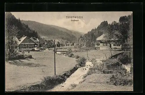 AK Todtmoos, Dorfbach