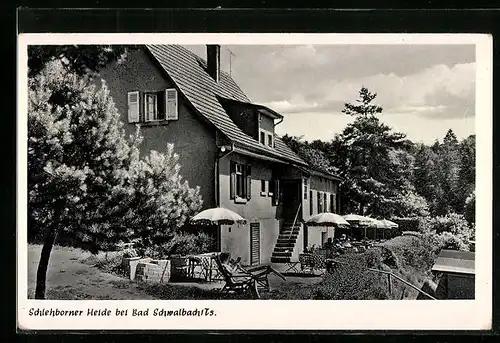 AK Bad Schwalbach /Ts., Gasthaus und Pension Schlehborner Heide