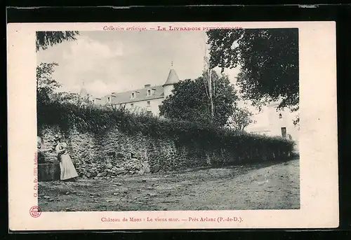 AK Arlanc, Chateau de Mons: Le vieux mur