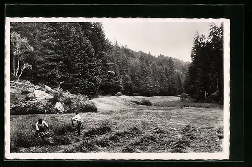 AK Saint-Germain-l`Herm, Faucheurs sur les bords de la Foret de l`Etat