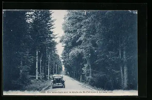 AK Saint-Fèlicien, Un sous-bois sur la route de St-Fèlicien à La Louvesc