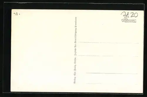 AK Titisee (Schwarzwald), Seeterrasse Hotel Titisee