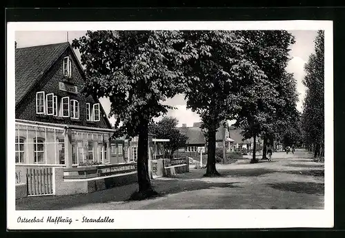 AK Haffkrug / Ostseebad, Café Laubgewind, Strandallee