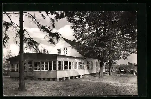 AK Bakenberg / Rügen, Gasthaus Waldfrieden