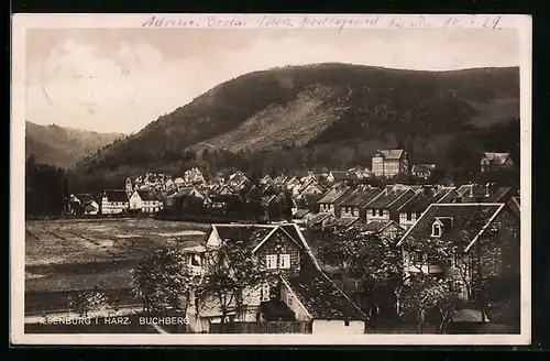AK Ilsenburg / Harz, Gesamtansicht mit Buchberg