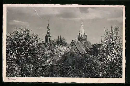 AK Soest, Teilansicht mit Kirchen