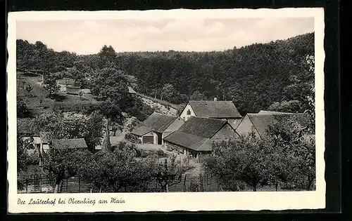 AK Obernburg am Main, Teilansicht mit Lauterhof