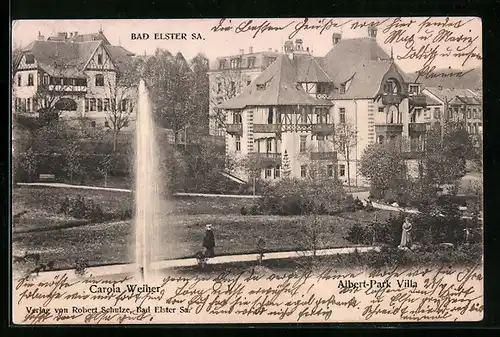 AK Bad Elster i. Sa., Albert-Park Villa