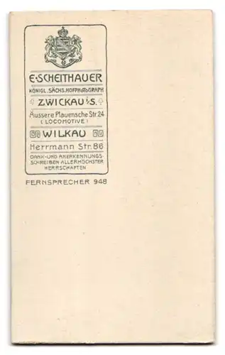 Fotografie E. Scheithauer, Zwickau i. S., Äussere Plauensche Str. 24, Portrait dunkelhaarige Dame im Kleid